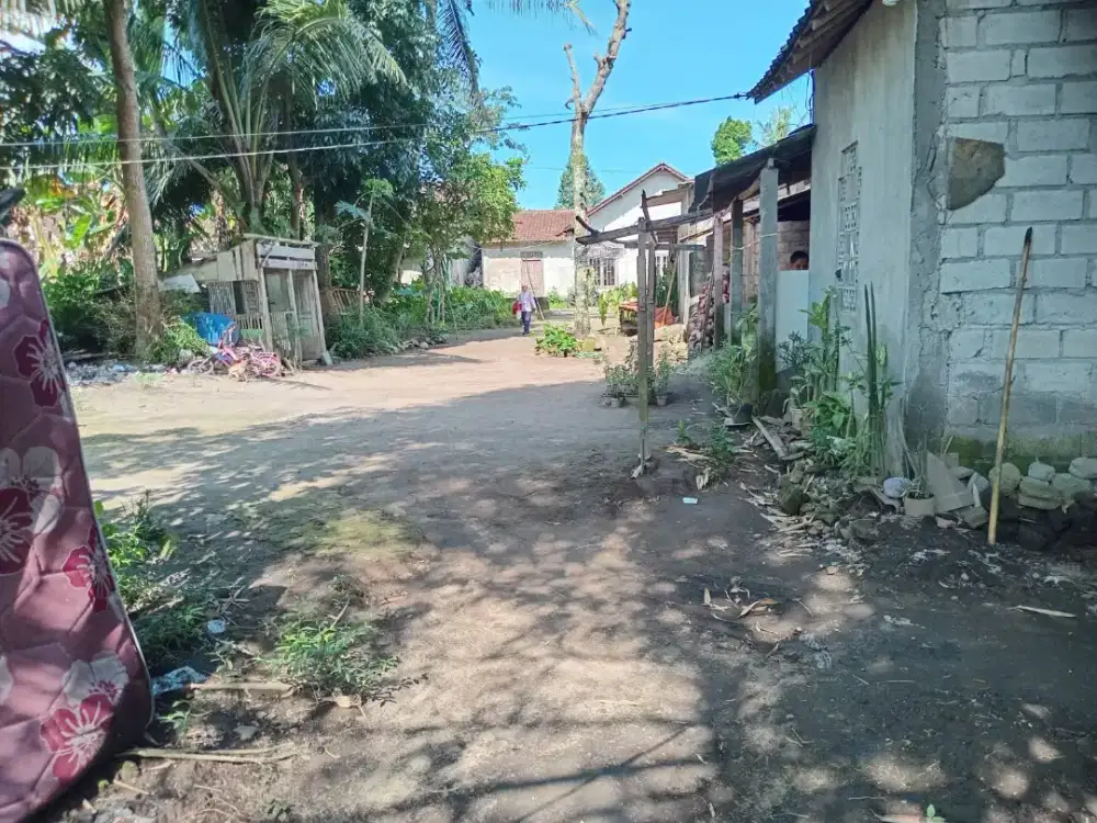 Tanah di Jabung Pendowoharjo Sleman Utara RM jejamuran Barat obelik