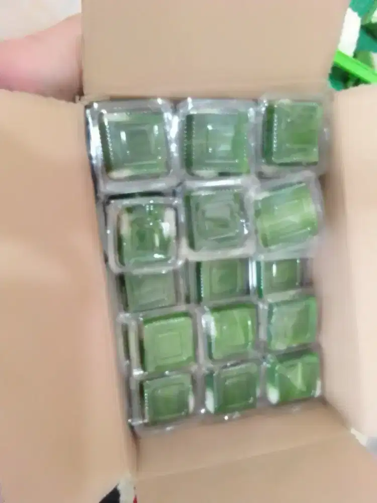 asisten rumah tangga