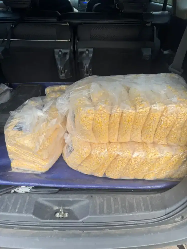 Jagung pipil 1 kilo