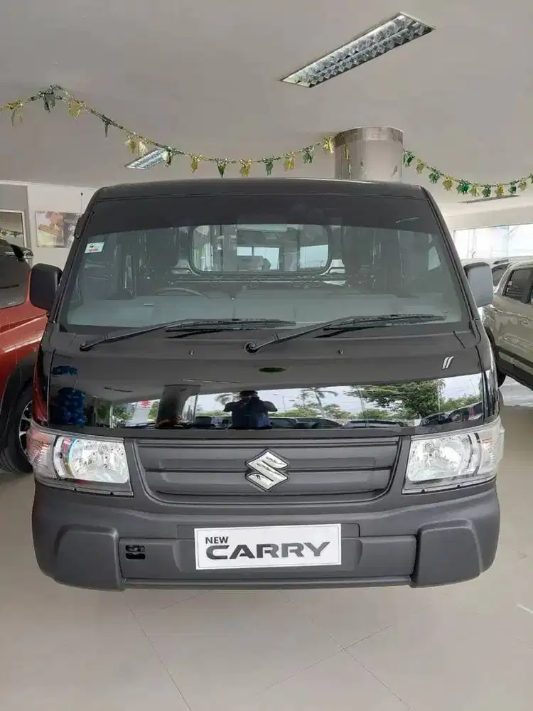 promo  carry pick up