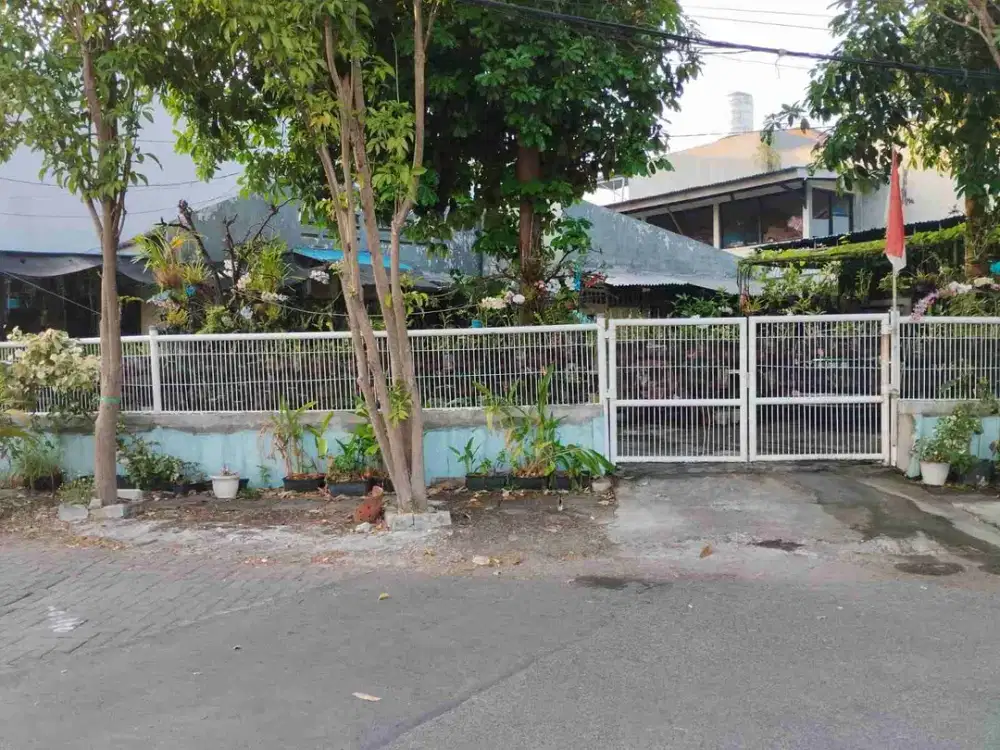 Hitung Tamah Murah Darmo indah barat dkt margomulyo darmo permai