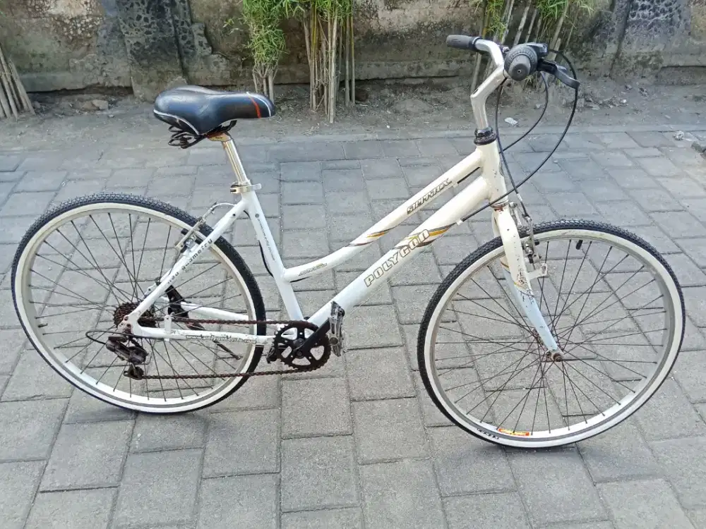 Sepeda POLYGON SIERRA CX Alloy R 26x1 3/8