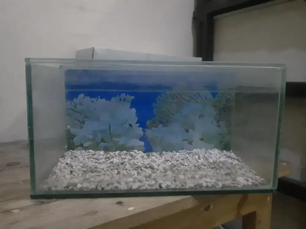 Jual 2 aquarium 90rb !