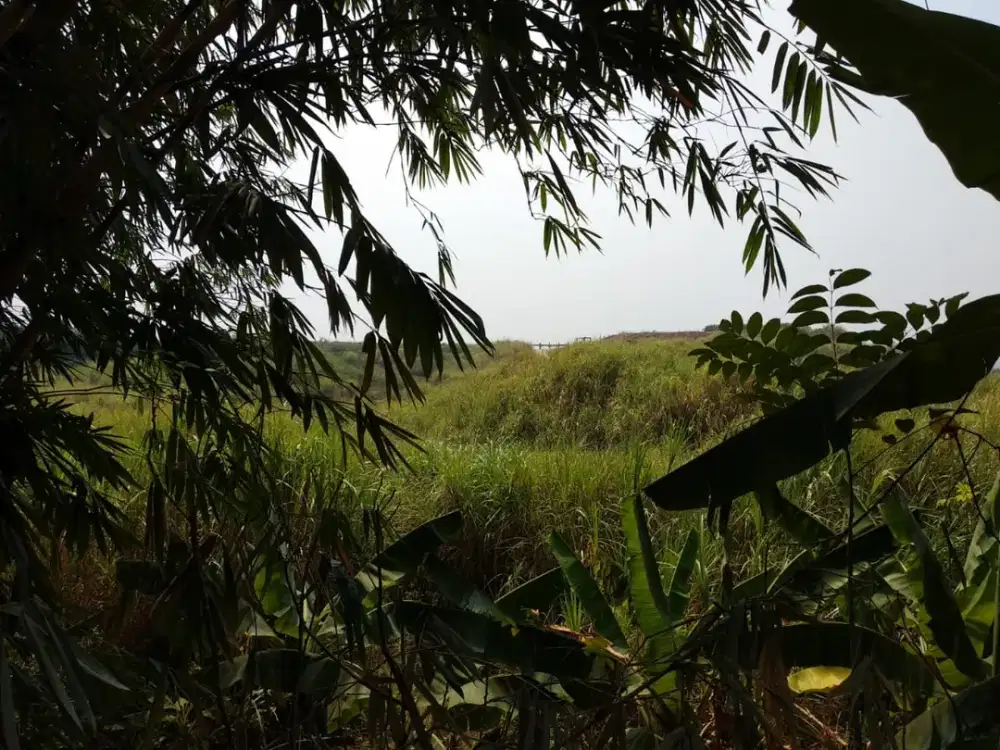 Dijual Tanah Mainroad Purwakarta Lokasi Sangat Strategis  samping gerbang komplek pergudangan Cikao dekat pintu tol keluar Purwakarta