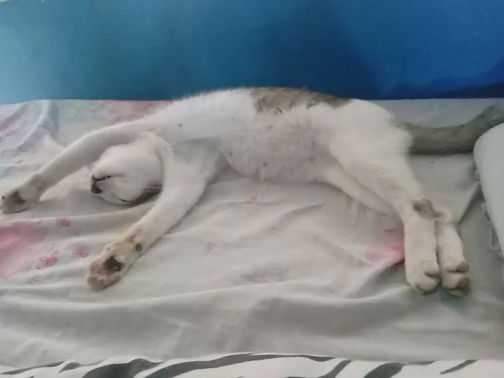 Mencari pekerjaan di bagian Administrasi