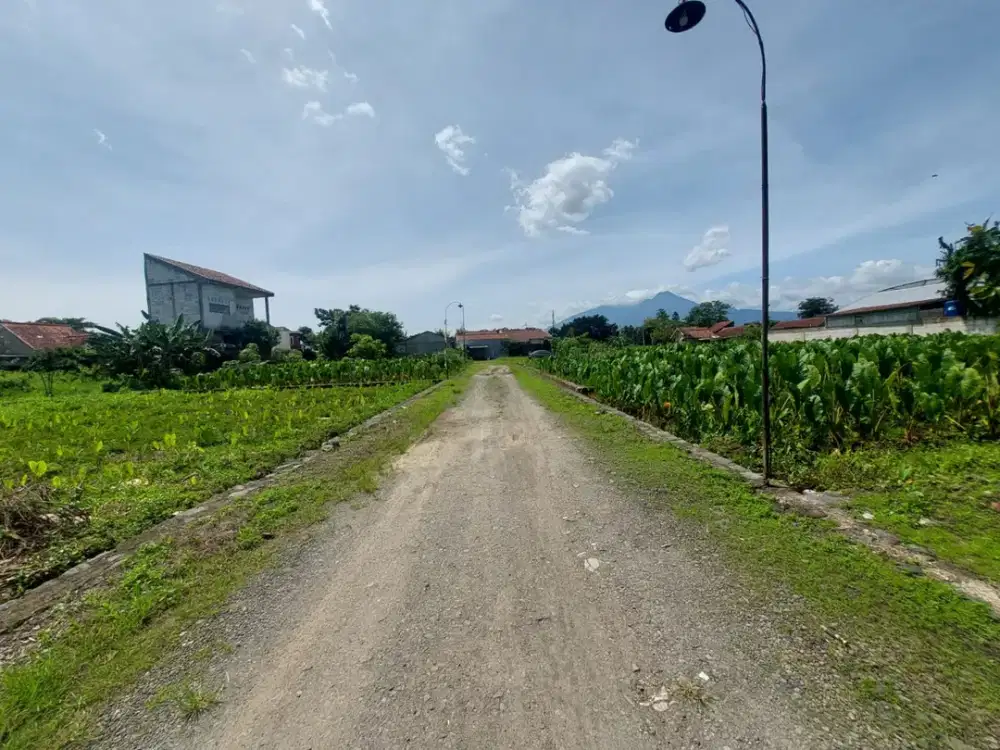 Kavling Murah 2 Jt-an Dekat Kampus IPB, Cocok Buat Kost