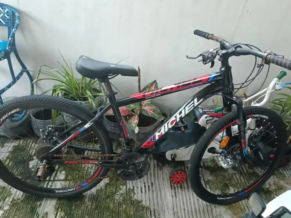 Sepeda Dewasa dan Sepeda Anak anak