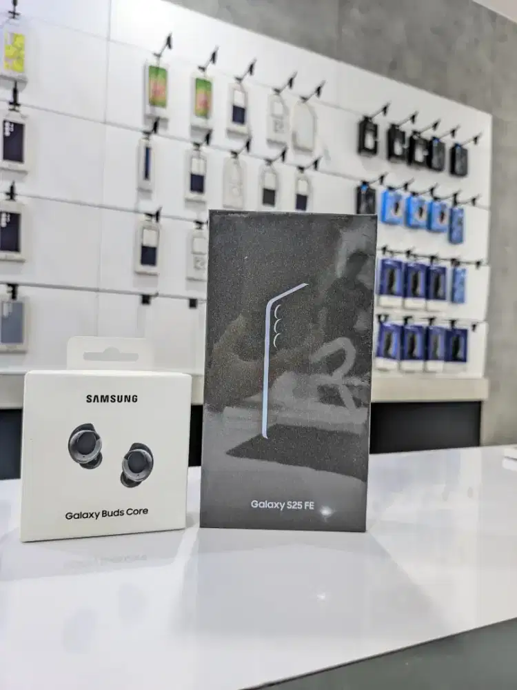 S25 fe 256 gb harga murah