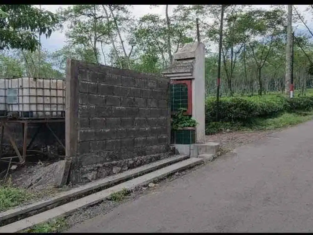 jual tanah kebun teh lawang malang