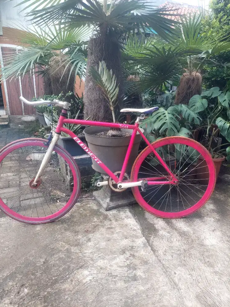 Sepeda fixie torpedo
