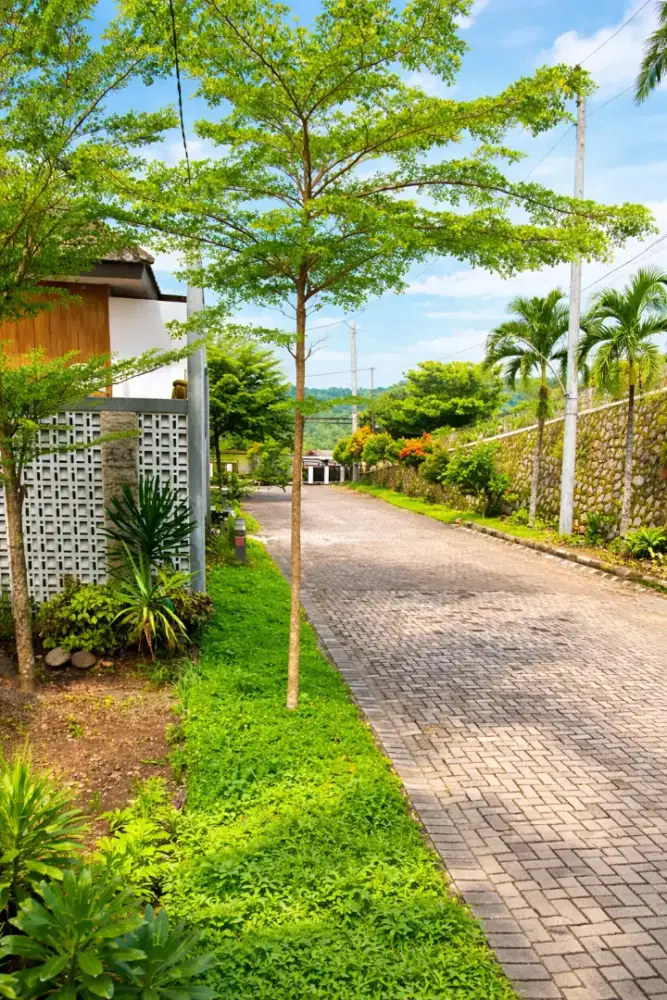 Tanah Kavling Tengah Kota Sampangan dkt Jatingaleh Menoreh Ngaliyan