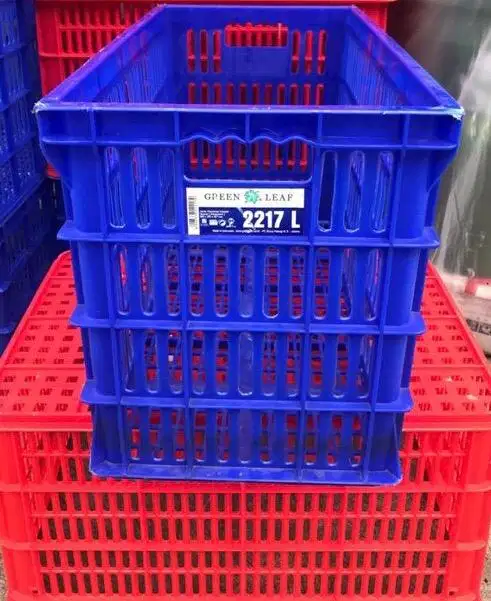 Keranjang piring leaf 2217 L