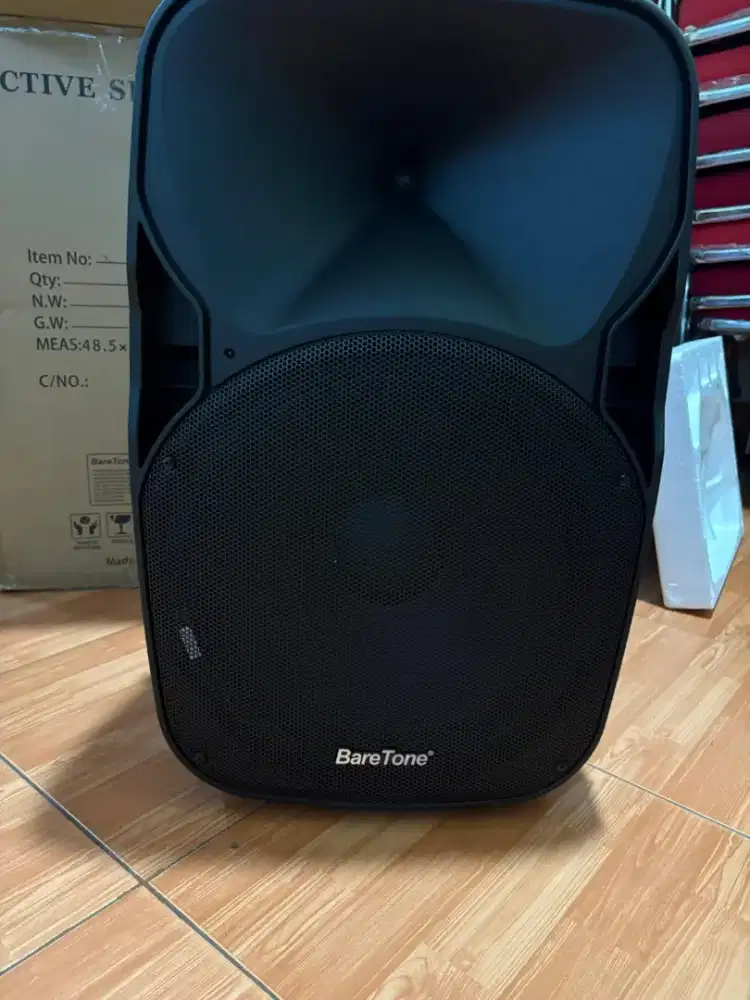 Speaker 15 inch