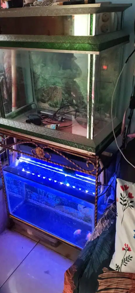 Aquarium ukuran sedang