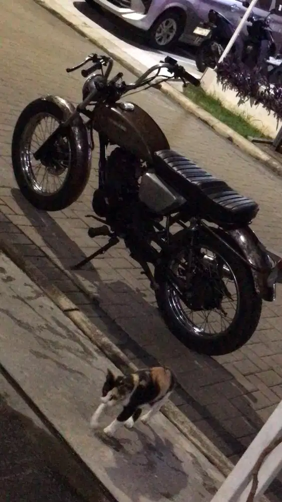 HONDA TIGER CUSTOM BRITISH