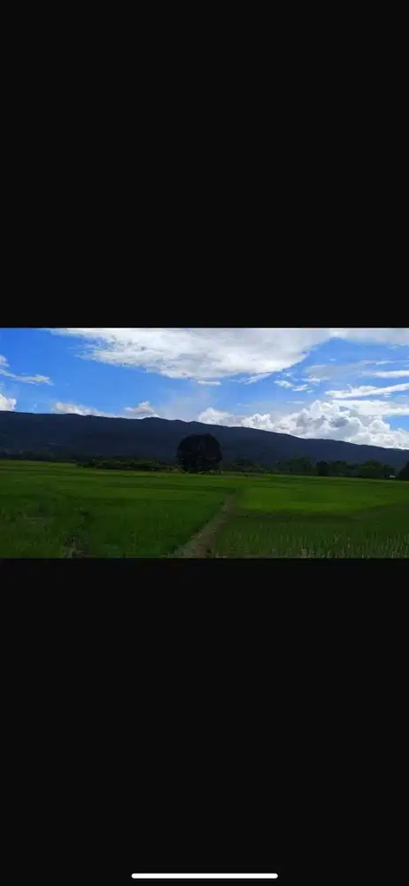 DIJUAL TANAH DI KAB.PENDOLO