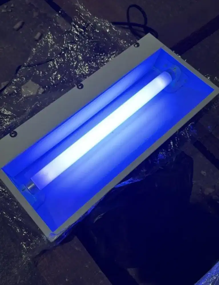 Flycatcher perangkap lalat