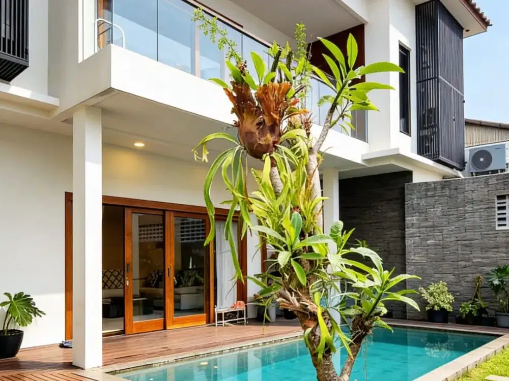 Rumah Modern Tropis Full Furnished Suasana Villa Bali di Pondok Labu
