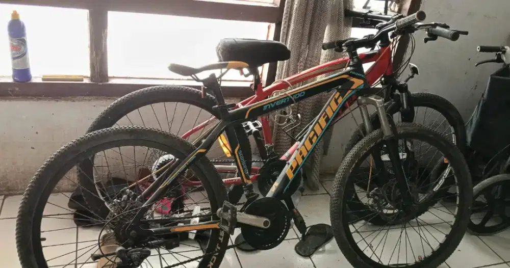 Sepeda Pacific Invert 100