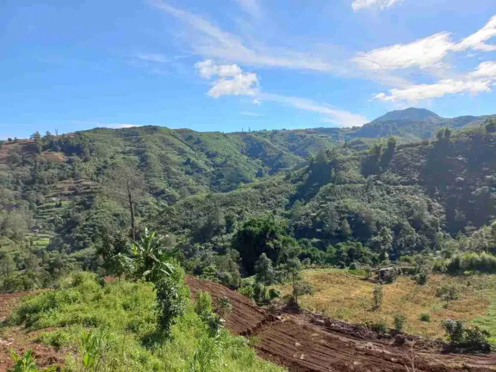 KAVLING MURAH MALINO VIEW PEMANDANGAN GUNUNG DAN KEBUN TEH