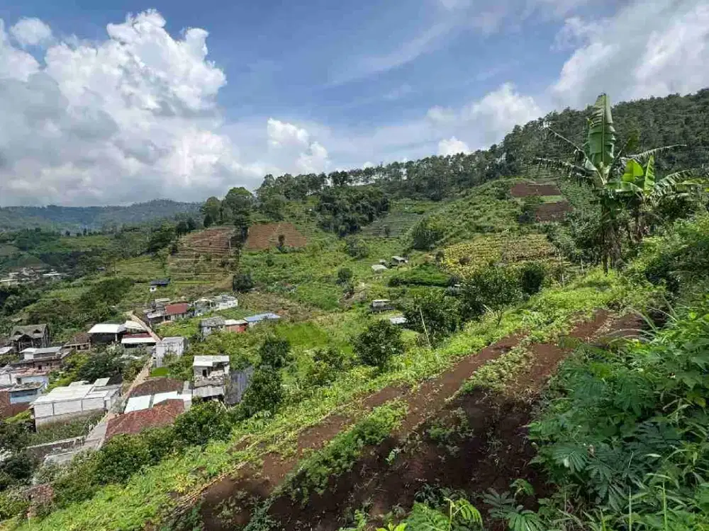 Tanah kota Batu harga super Murah