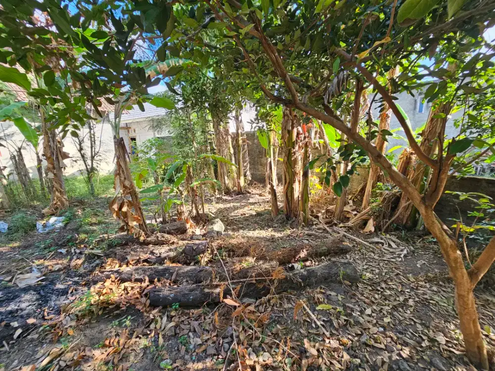 dijual tanah kosong di kotagede