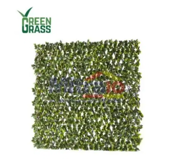 GREEN GRASS TANAMAN HIAS