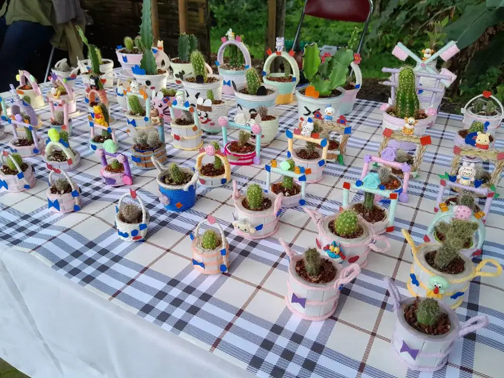 Kaktus Sukulen Mini & Aneka Pot Lucu
