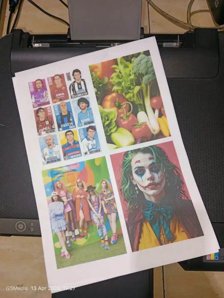 Epson L1210 eco tank