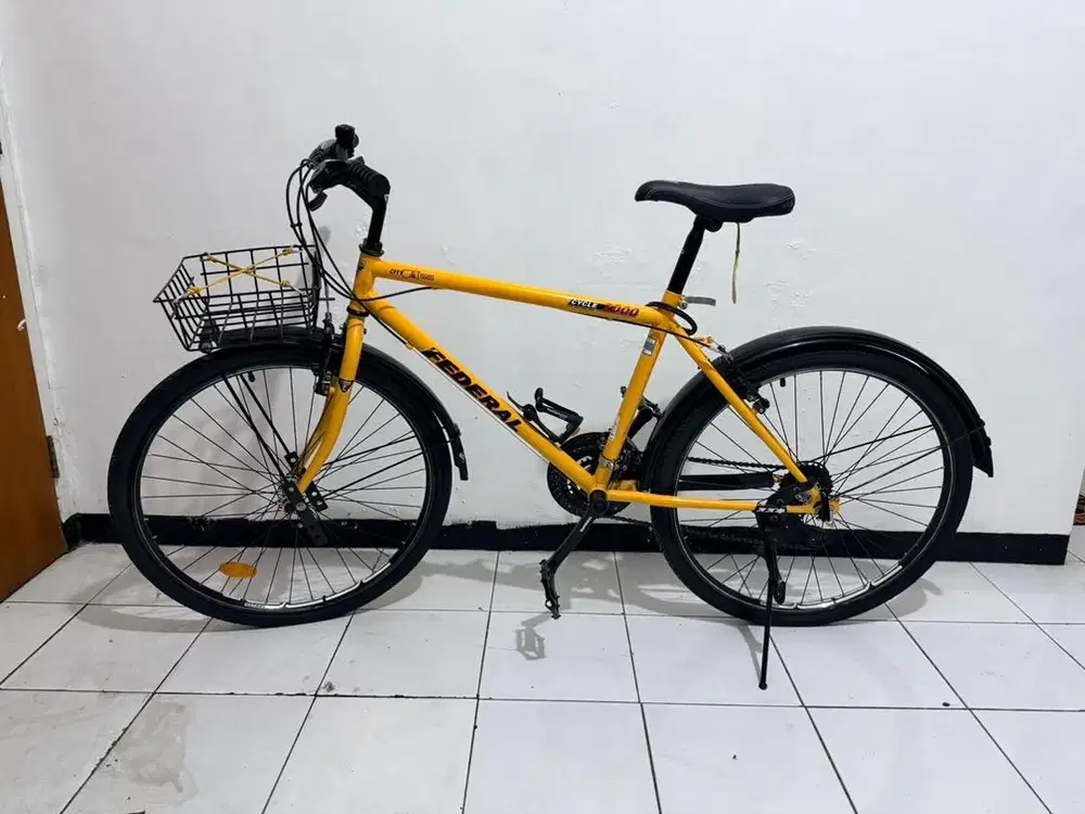Sepeda Federal City Cat SS