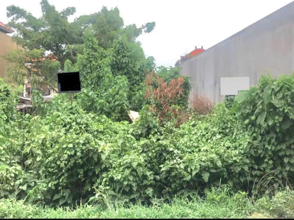 Dijual tanah taman sekar lokasi jalan utama