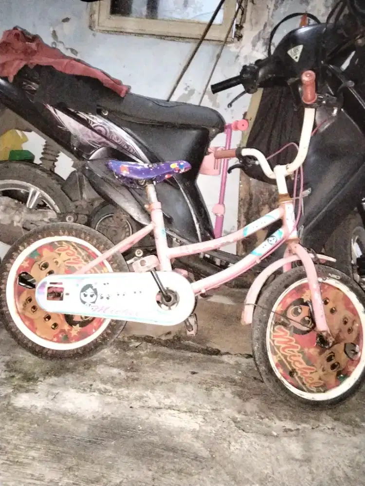 sepeda anak anak