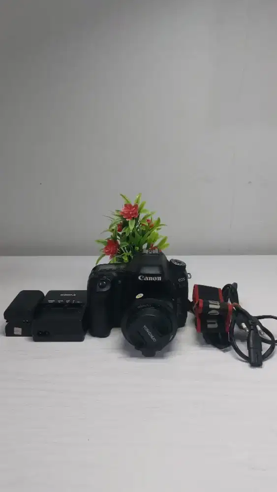 Kamera Canon 80D Body+Lensa 50mm