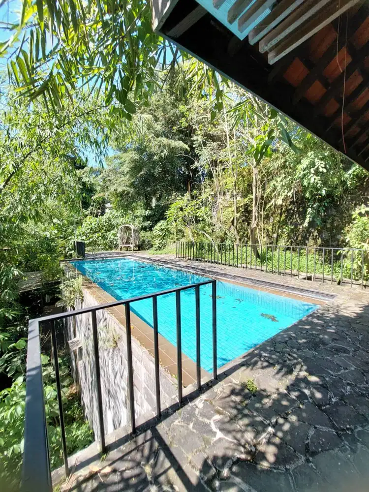 Rumah Estetik dan Natural dengan Joglo dan Kolam Renang di Maguwoharjo