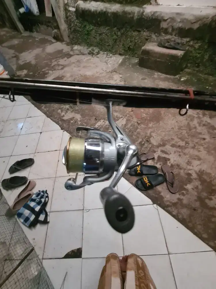 Reel daiwa luvias thailand
