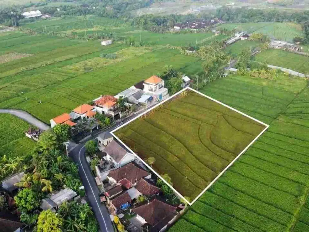 termurah!! buc jl utama pantai kelating tabanan 26 are