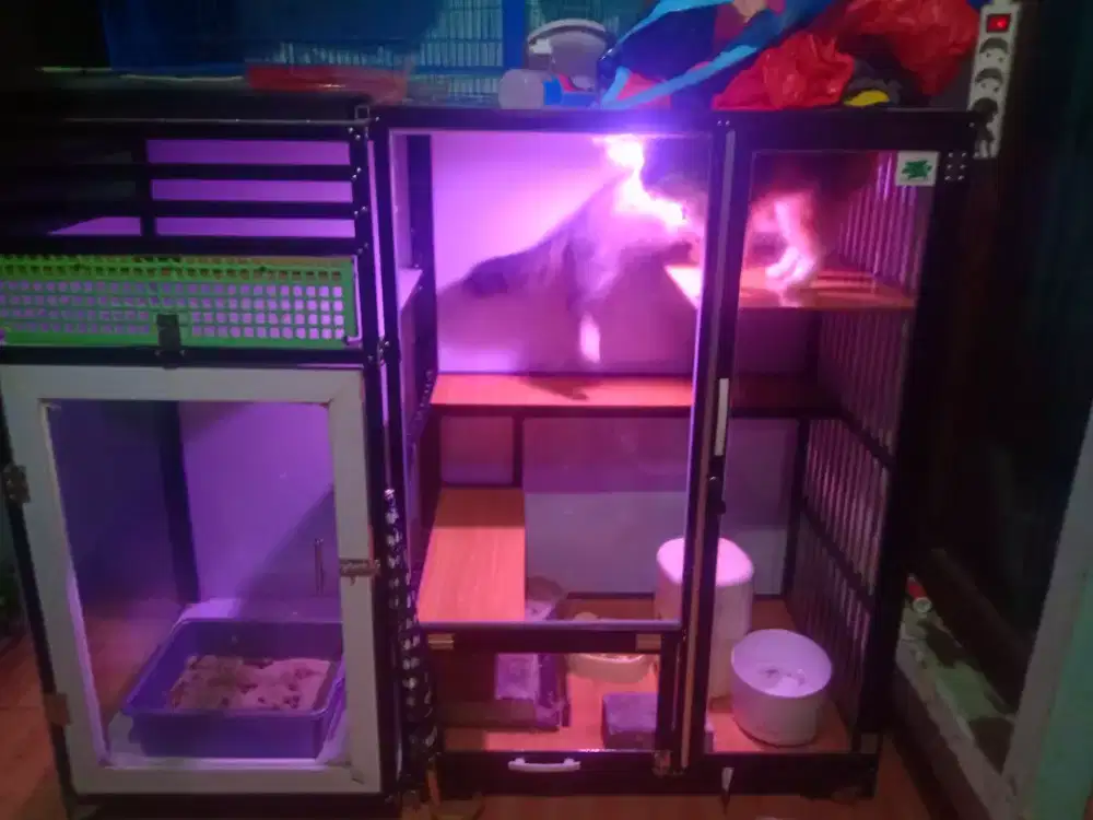 Kandang kucing besar 3 tingkat.panjang 200 tinggi 150