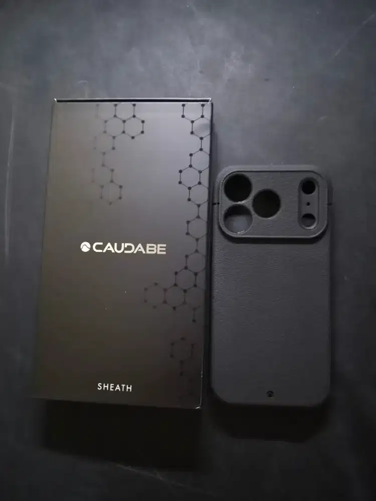 Case Iphone 17 Pro Caudabe Sheath Black Pemakaian Pribadi