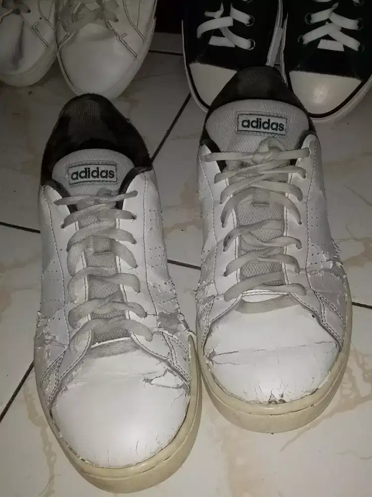 Adidas advantage base white  original  preveloved