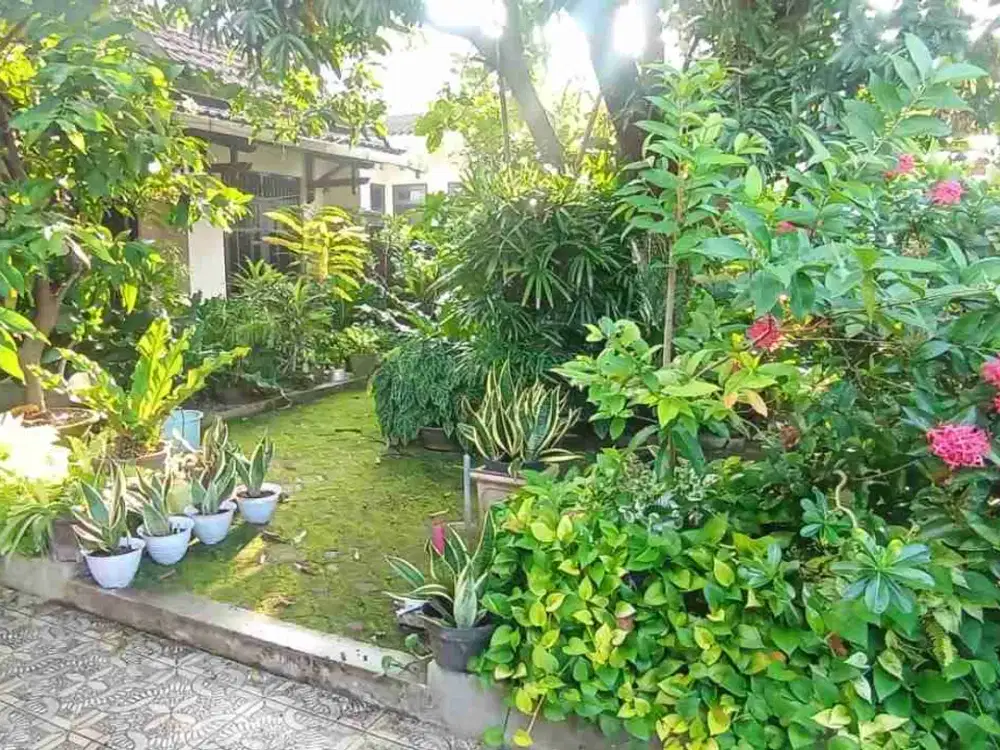 Paviliun Disewakan Pusat Kota Pekalongan Dekat Transmart