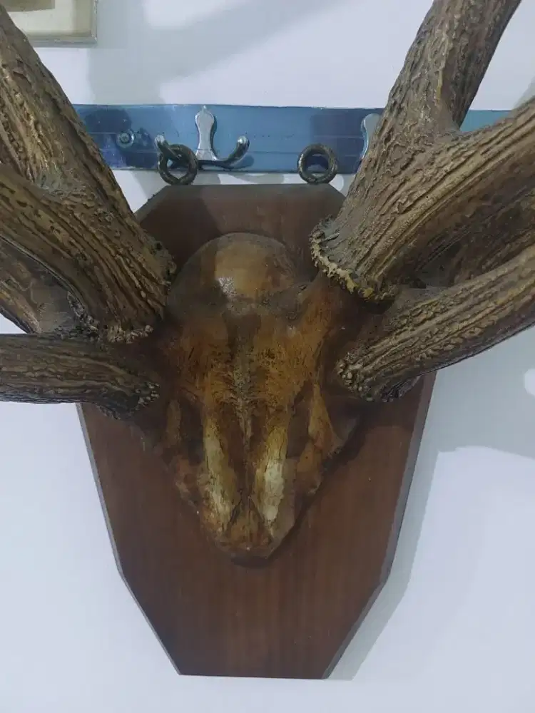 Hiasan dingding (asli)