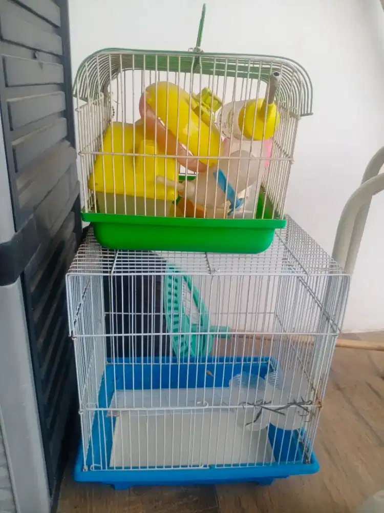 kandang hamster murah 60 rb nego
