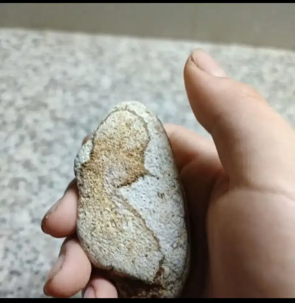 Batu hidung panjang pinokio