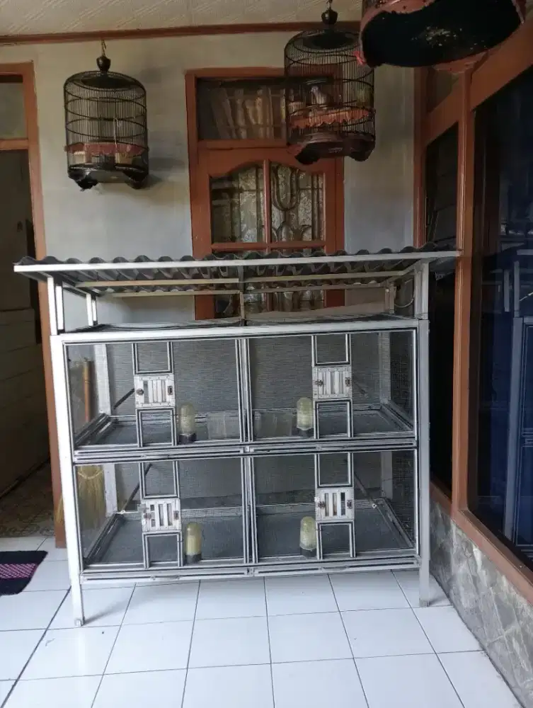 Kandang kuliar ternak