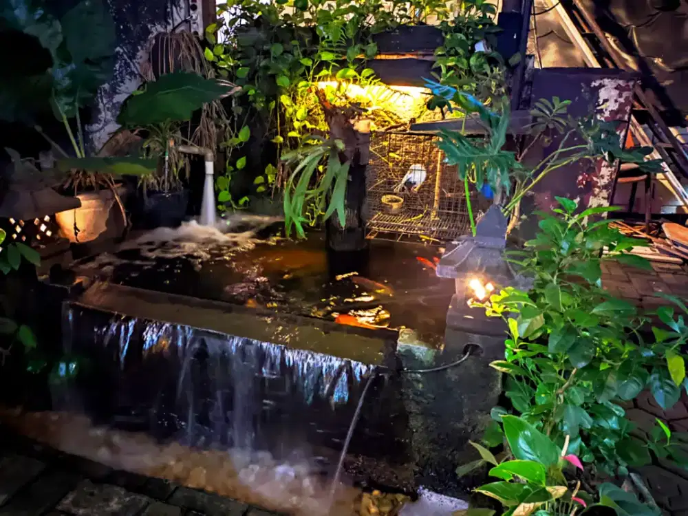 Lowongan Kerja Kedai Kopi