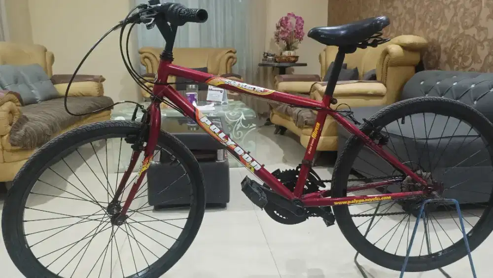 Sepeda Polygon Sentana uk 24