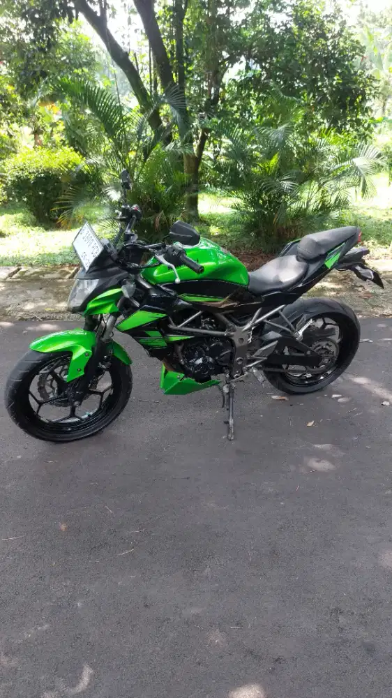 Kawasaki Ninja Z 250 SL mono
