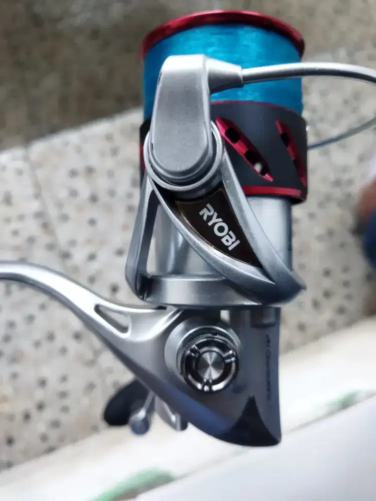 Riyobi zeuber pro 4000