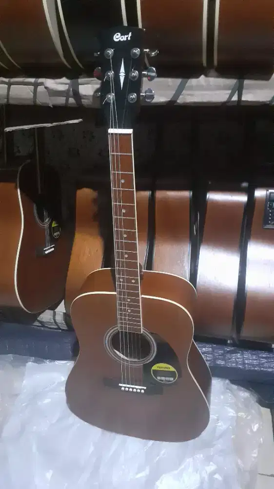 GITAR CORT AKUSTIK