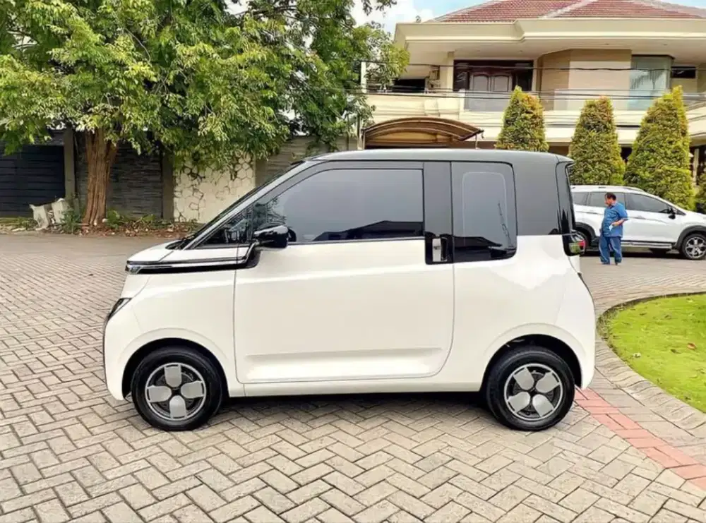Dijual wuling ev lite 300
